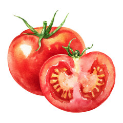 watercolor illustration of a red tomato isolated