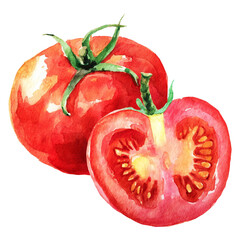 watercolor illustration of a red tomato isolated