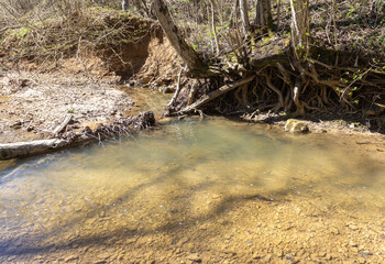 the river in the spring of the year, a slow flow along a shallow riverbed