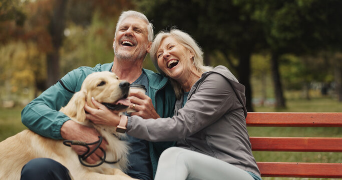 Dog, park and old couple on bench, funny and conversation with animal lover. Outdoor, pet and happy senior man with mature woman, bonding together and relationship with break, laughing and retirement