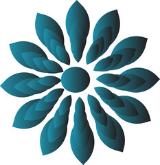 blue and white flower