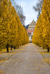 A path lined with trees and leaves leads to a building