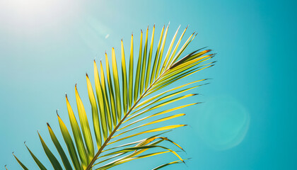 Fototapeta premium Leafy green palm tree is shown against a bright blue sky. Concept of calm and relaxation, as the palm tree's leaves sway gently in the breeze
