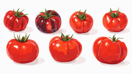 Vector clipart illustration set of rustic heirloom tomatoes isolated flat tomato on a white background