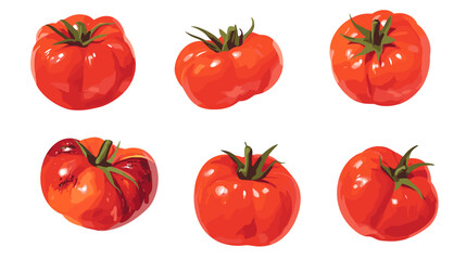 Vector clipart illustration set of rustic heirloom tomatoes isolated flat tomato on a white background