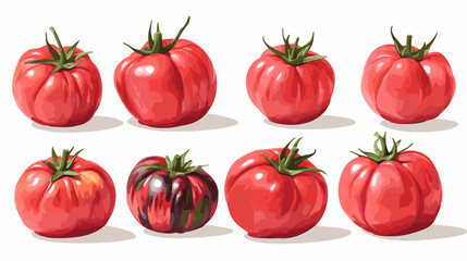 Vector clipart illustration set of rustic heirloom tomatoes isolated flat tomato on a white background