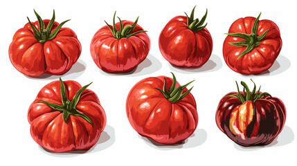 Vector clipart illustration set of rustic heirloom tomatoes isolated flat tomato on a white background