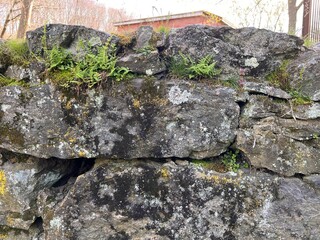 Stone wall with moss