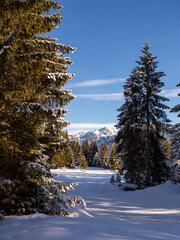 Landscape in the alps in winter near Seefeld, Tyrol