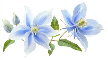 Naklejka premium Delicate Light Blue Flowers