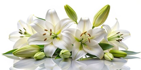Fototapeta premium White Lily Bouquet with Buds Reflection, Floral, Decoration, ,