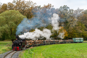The Resita-locomotive 490,2002 of the Csömödér narrow gauge forestry railway hauls trucks loaded...
