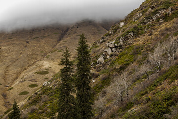 landscape in the morning