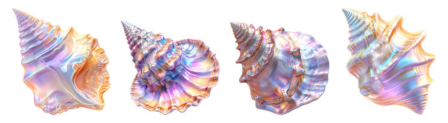 Colorful Seashells on Transparent Background