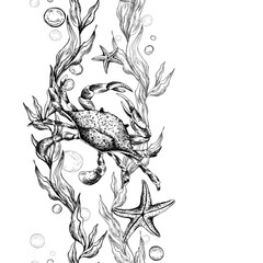Crab, sea blue algae with leaves wriggling in wave with bubbles and coral starfish. Graphic illustration hand drawn in black ink underwater world. Seamless vertical border pattern for long projects