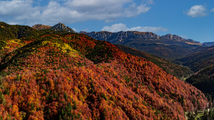 Obraz premium Golden Leaves and Mountain Breezes: Autumn in Moeciu