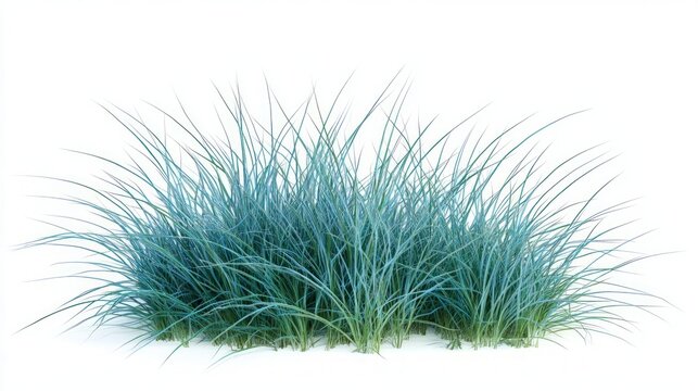 Stunning Blue Grass in a Pristine Garden Setting