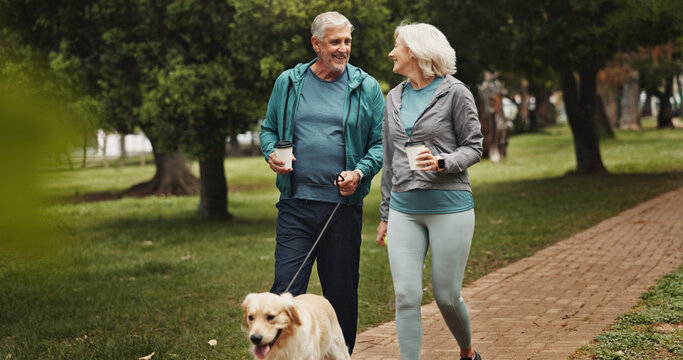 Coffee, old couple and walking dog in park together for outdoor fitness, health or wellness. Exercise, hobby or smile with senior man and woman training pet Labrador in nature for animal obedience
