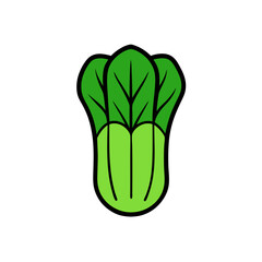 green Bokchoy vegetable vector illustration