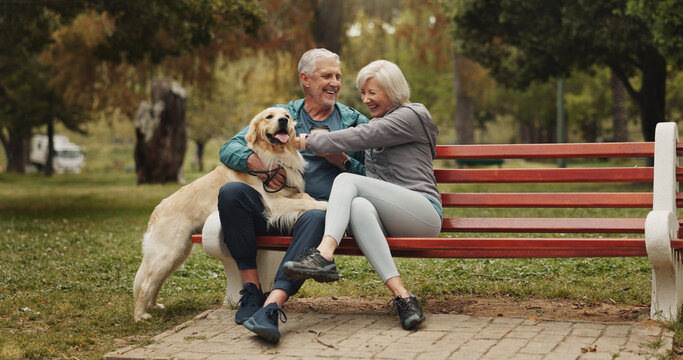 Dog, park and old couple on bench, relax and conversation with animal lover. Outdoor, pet and senior man with mature woman, bonding together and relationship with break, happiness and retirement