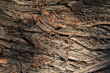 Wood abstract texture. Surface grunge backdrop. Dirty wooden effect pattern. Material background.