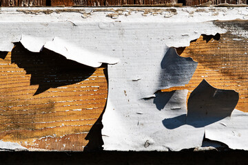 Wood abstract texture. Surface grunge backdrop. Dirty wooden effect pattern. Material background.