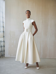 Fototapeta premium woman in a stylish elegant dress