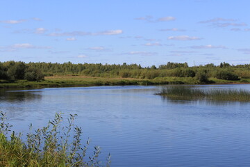 Cobra River On a sunny summer day