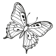 Butterfly flies silhouette vector illustration. Butterfly black drawing isolated on white background.
