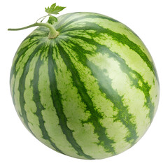 watermelon isolated on white background