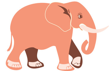elephant cartoon illustration