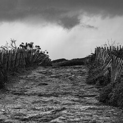 my prospects are unclear