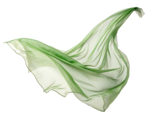 green onion on white