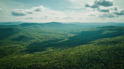 Naklejka premium Vast Green Mountain Range Landscape Aerial View of Lush Forest