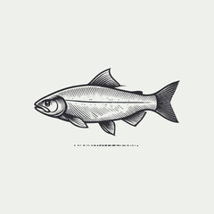 Minimalist fish vector illustration