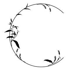 Capital letter C with floral  motifs. Botanical alphabet with herbs and wildflowers. Blooming branches of Polygonum plant. Knotweed or Smartweed flower. Black silhouette on white background.