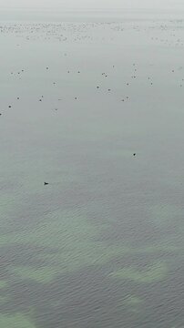 Stunning drone footage capturing the tranquil beauty of a lake with crystal-clear water and a rocky shoreline surrounded by autumn foliage. Perfect for use in nature documentaries, travel content