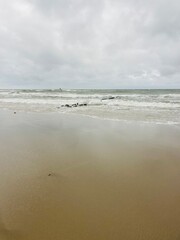 cloudy seascape, sandy shore, empty wild beach, clouds and waves