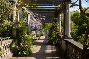 Pergola in Hampstead Heath