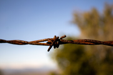 a rusty barbed wire on a fence