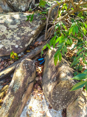 Nice region with river, calm water, good pools, clean beaches, all of them inside a mountain ridge called Serra do Cipo in Minas Gerais, Brazil.