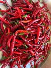 red hot chili peppers