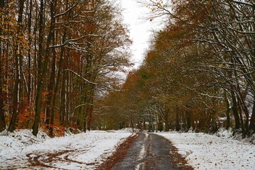 Prémices d'hiver