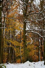 Souffle d'hiver