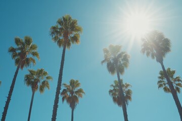 Sunny Day Palm Trees Swaying - Bright sunny day, palm trees swaying gently, summer vacation vibes, tropical paradise, serene nature.