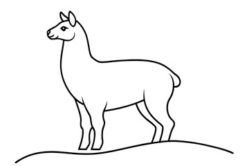 Line Drawing of a Llama, South American Animal, Outline, Simple Illustration