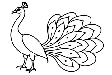 Elegant Line Drawing of a Majestic Peacock Bird