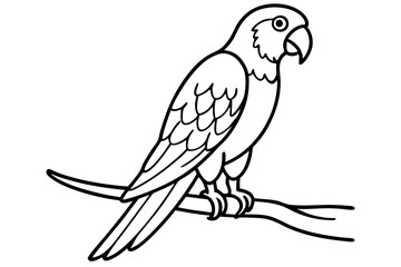Line Drawing of a Parrot Perched on a Branch