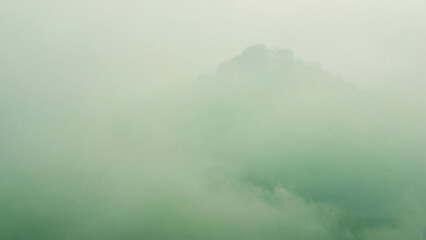 Fototapeta premium green paper background
