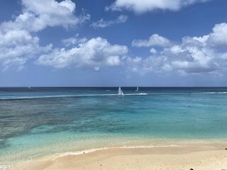 Coral reef showing through clear waters off coast of Barbados